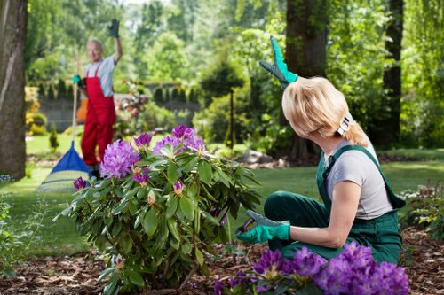 Gardener at work in a residential garden in Seven Kings, close-up of tools and plants