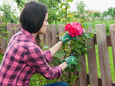 Gardener working on a suburban front garden in Seven Kings