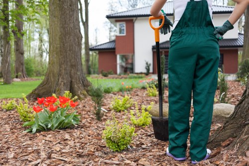 Operative trimming a hedge in a Seven Kings neighbourhood
