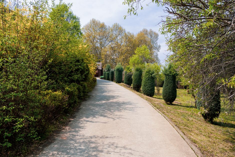 A paved driveway leading through a well-maintained garden with neatly trimmed spherical evergreen shrubs lining the right side. On the left, dense foliage of various bushes and trees creates a lush, g